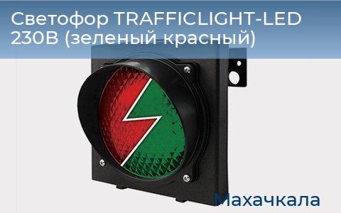 Светофор TRAFFICLIGHT-LED 230В (зеленый+красный), mahachkala.doorhan.ru