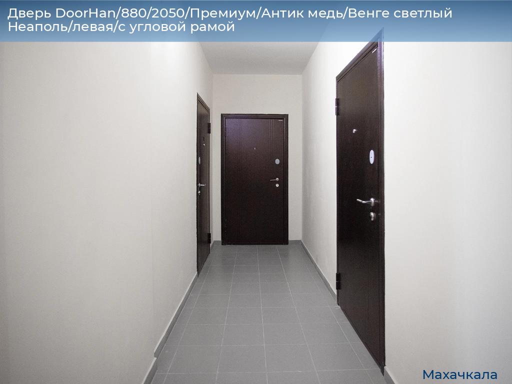 Дверь DoorHan/880/2050/Премиум/Антик медь/Венге светлый Неаполь/левая/с угловой рамой, mahachkala.doorhan.ru